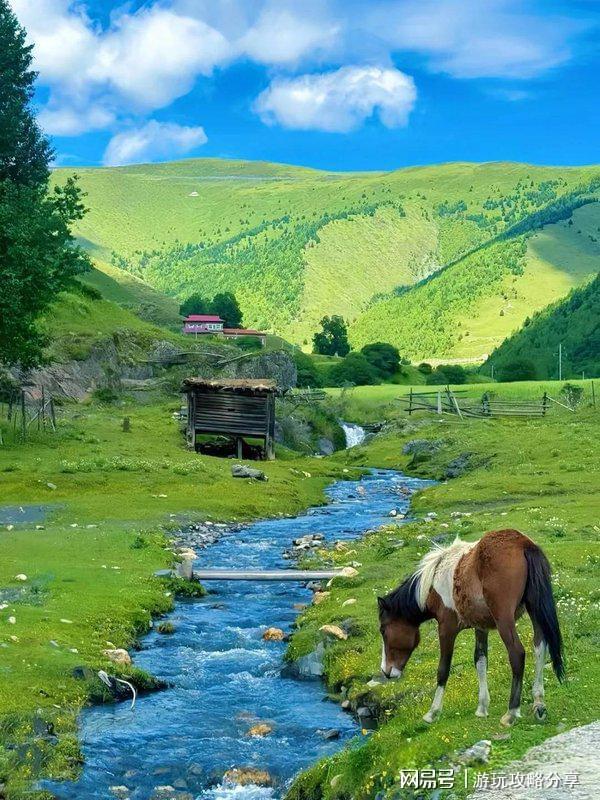 什么 成都旅游保姆级出行手册！麻将胡了游戏去成都四天可以玩点(图3)