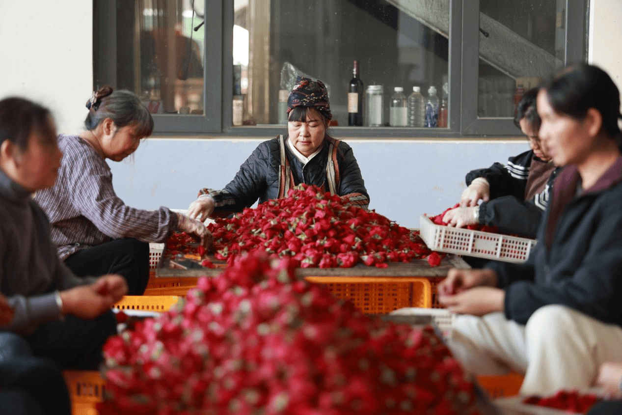 布：闭店停止运营！曾拥有数千家门店……PG麻将胡了2【开屏早知道】知名品牌宣(图12)