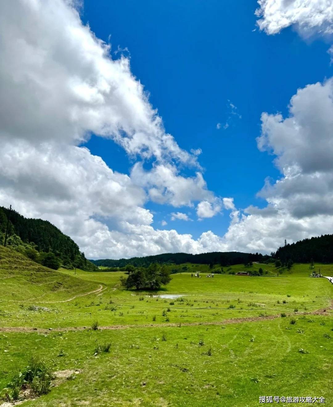 玩团行程怎么规划?重庆动物园游玩4天景点PG电子麻将胡了模拟器去重庆旅游4天纯(图2) 玩团行程怎么规划?重庆动物园游玩4天景点PG电子麻将胡了模拟器去重庆旅游4天纯(图2)